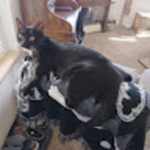 Meet your Posher, Mary